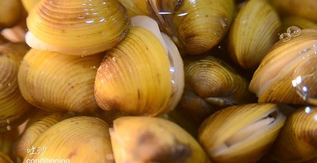 现在到市场买的蚬仔,商家应该都已经让它吐过砂了,但有时候还会有落网