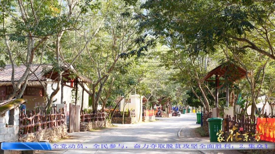 刷新乡村"颜值 南浪村这样推进农村人居环境整治 东河镇南浪村是东方