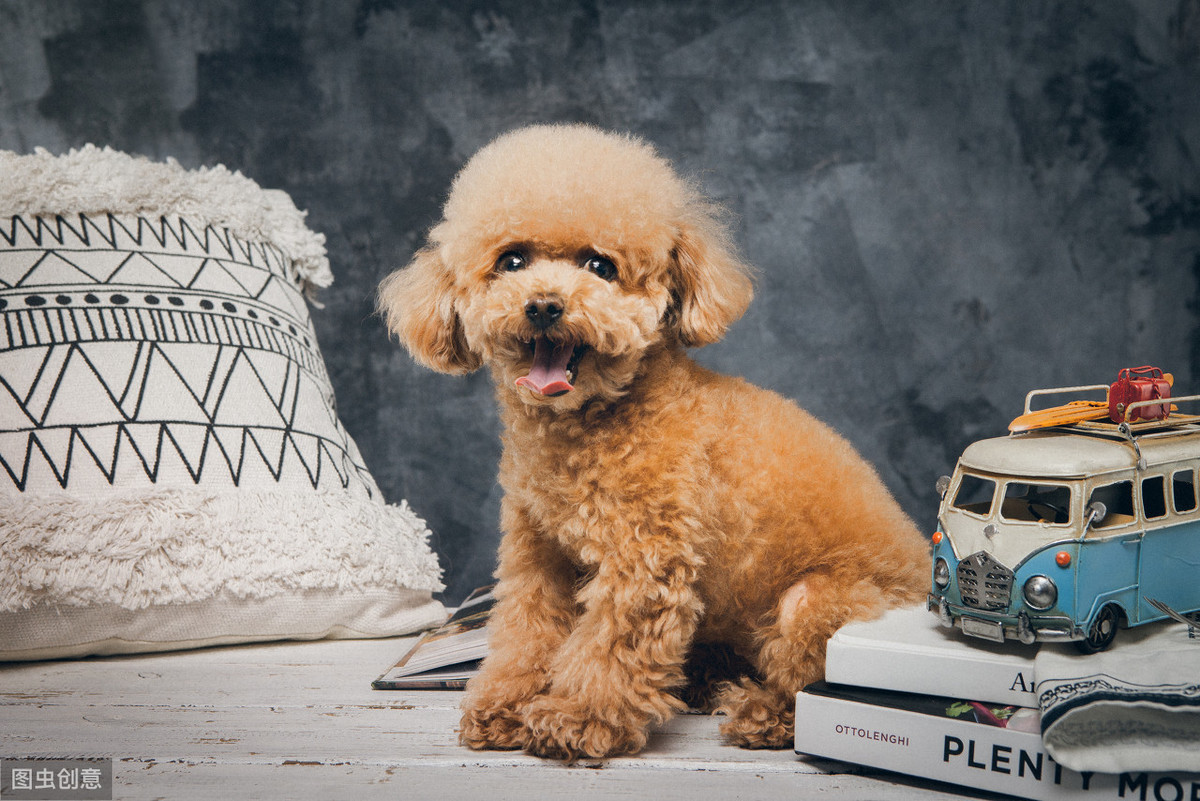 事实并非如此,这只是人们的偏见而已_尾巴