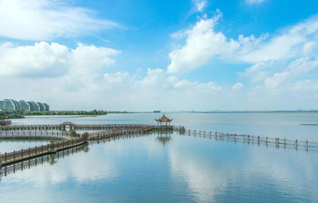 清水|江苏阳澄湖