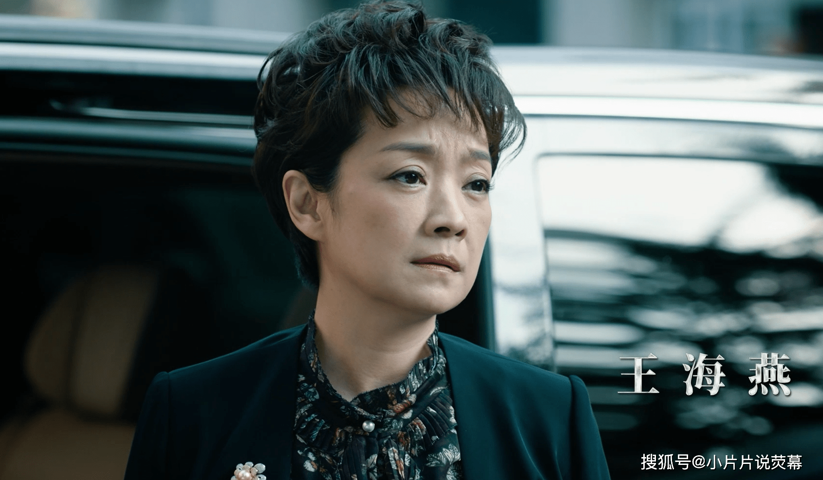 原创《巡回检察组》:张友成与郑双雪离婚,大难临头各自飞