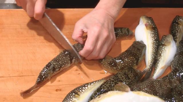 日本大厨处理河豚魔鬼刀工不见一滴血扒开外皮就是顶级刺身
