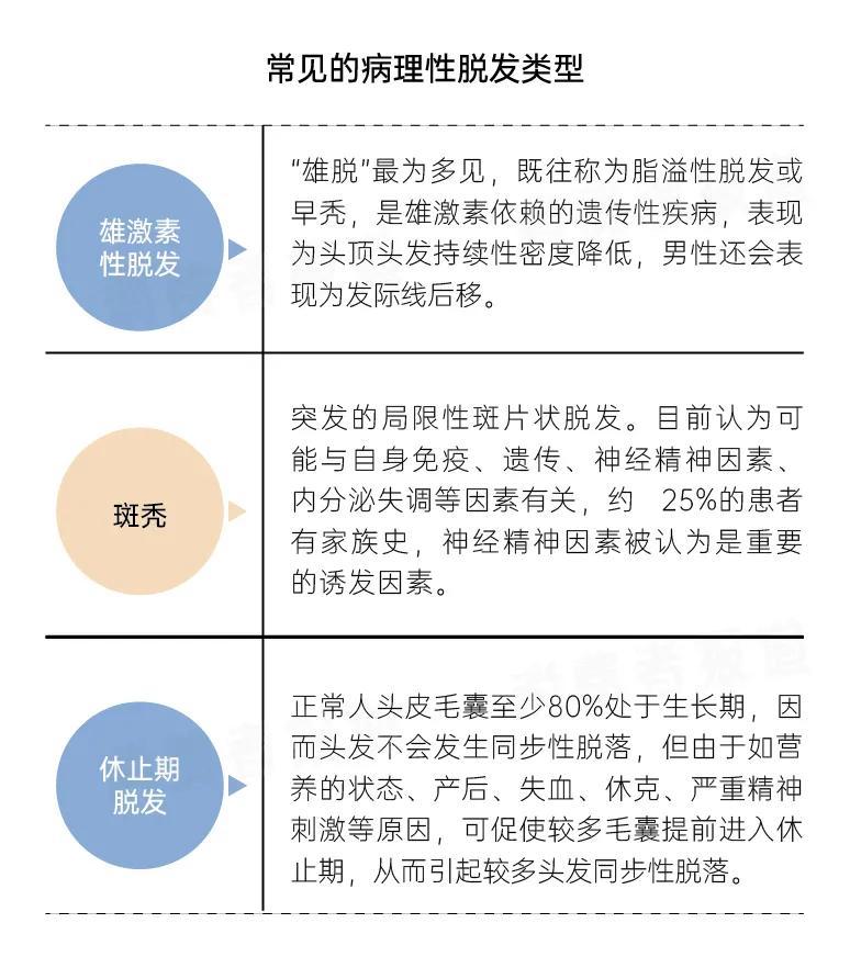 雄激素性脱发,斑秃,休止期脱发是目前常见的病理性脱发