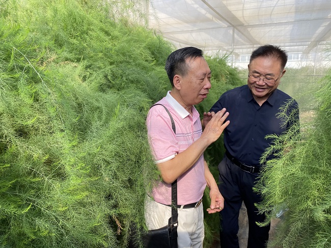 曹州龙头企业巨鑫源集团公司在西班牙设立办事外,通过股本置换控股