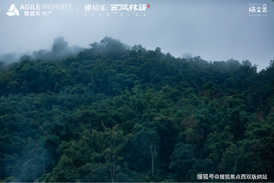 西双版纳雅居乐—发现第二人生的乐趣与意义_大黑山