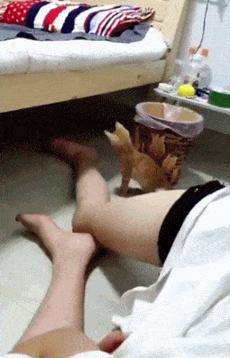 搞笑gif:大哥,别这么玩,我隔着屏幕都能感觉到两腿疼