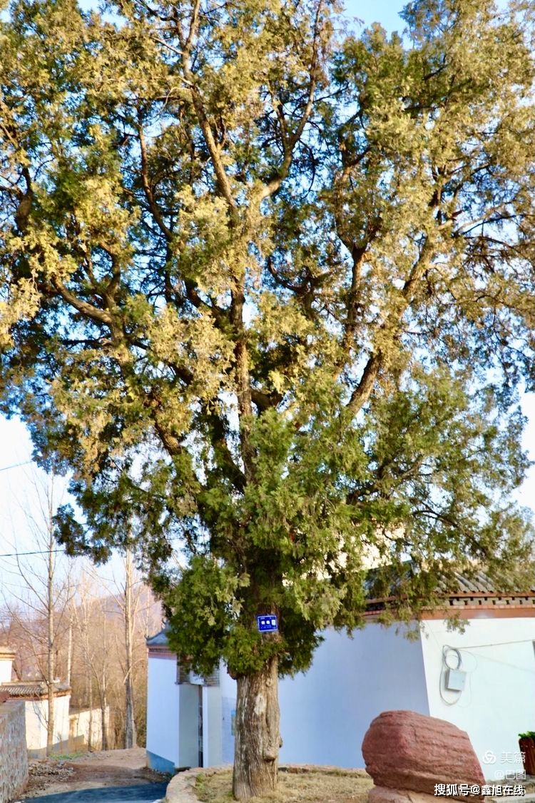 新晋网红打卡地嵩县沙坡村掠影