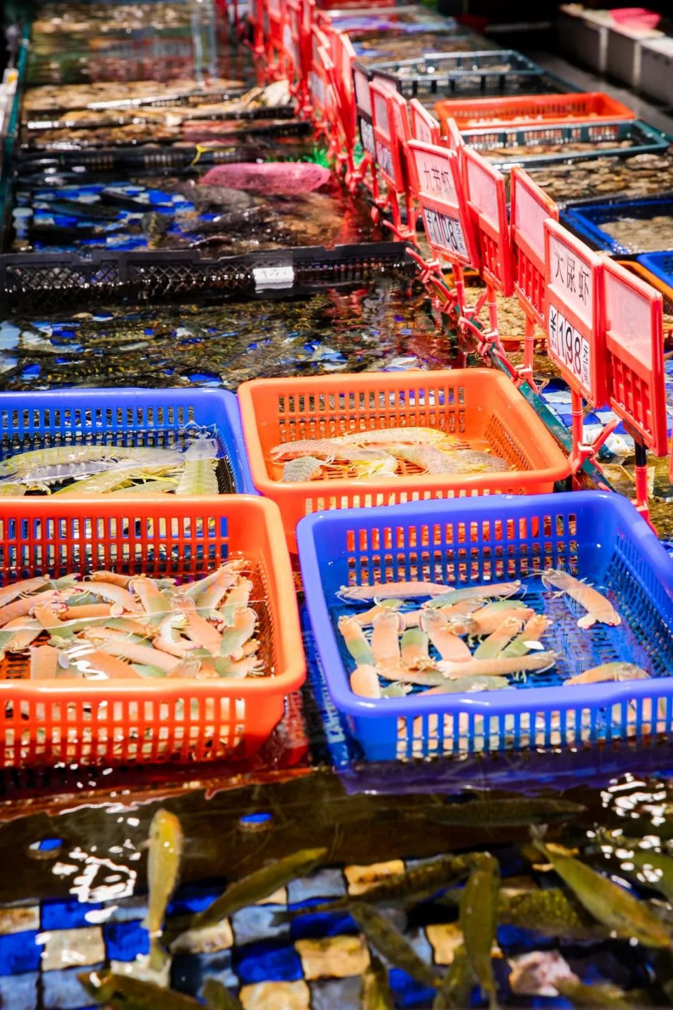 3000㎡海鲜超市,连湛江人都跑来进货!