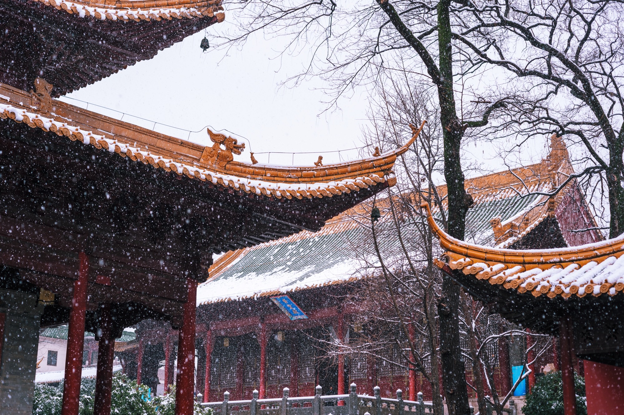 南京冬季景点图片