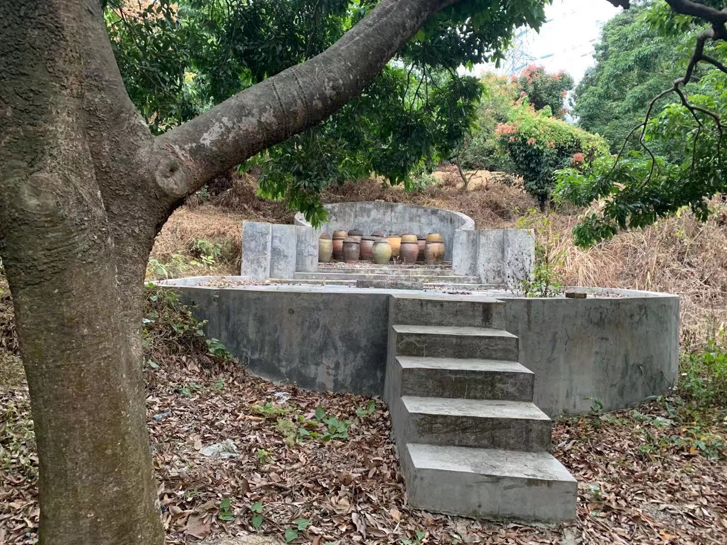 廣東一森林公園竟現數十座墳墓,村民:老墳就在這,家人去世都要葬在一