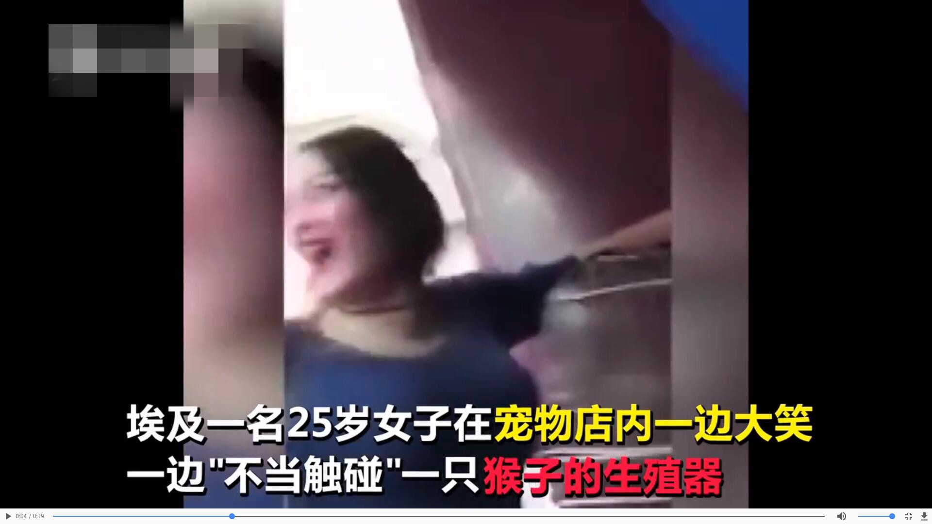 25岁女子摸猴子生殖器取乐 视频疯传后被判"性骚扰"监禁3年_行为