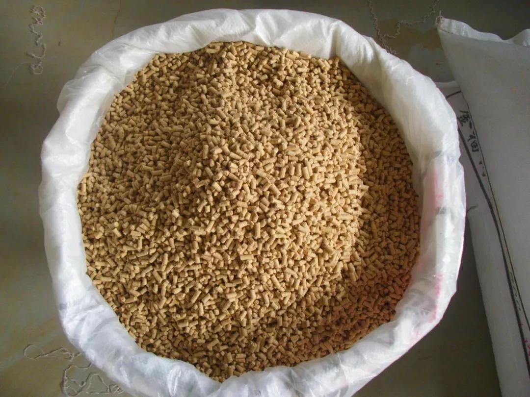 猪饲料究竟能不能喂牛羊涨知识啦