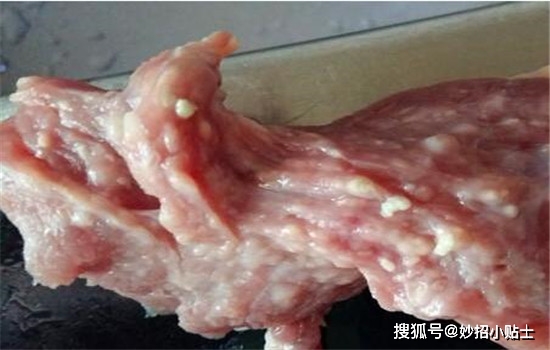 怎么区分不同部位的猪肉?都适合怎么吃?