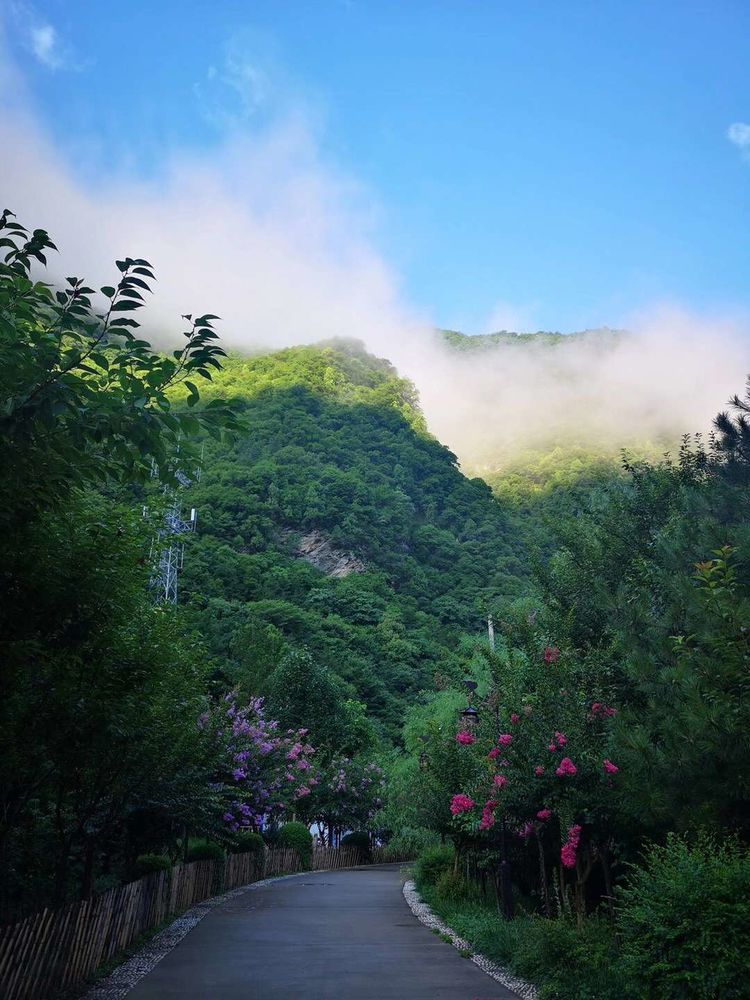 陕西黑河国家森林公园2021年新年贺词