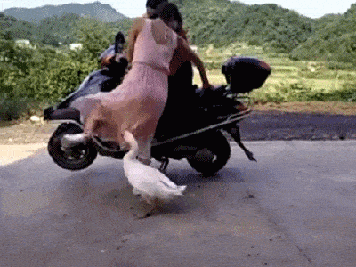 搞笑gif段子姐姐真美