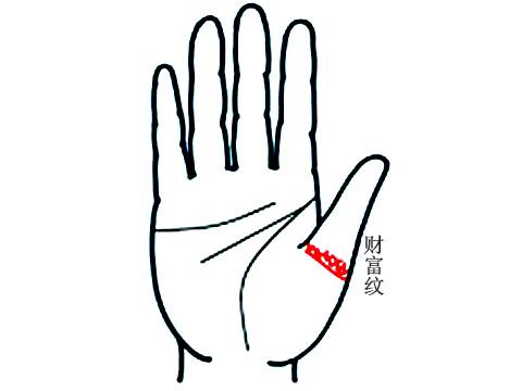最后我们再说一说财富纹,财富纹主要分布在大拇指上,在大拇指的第二节