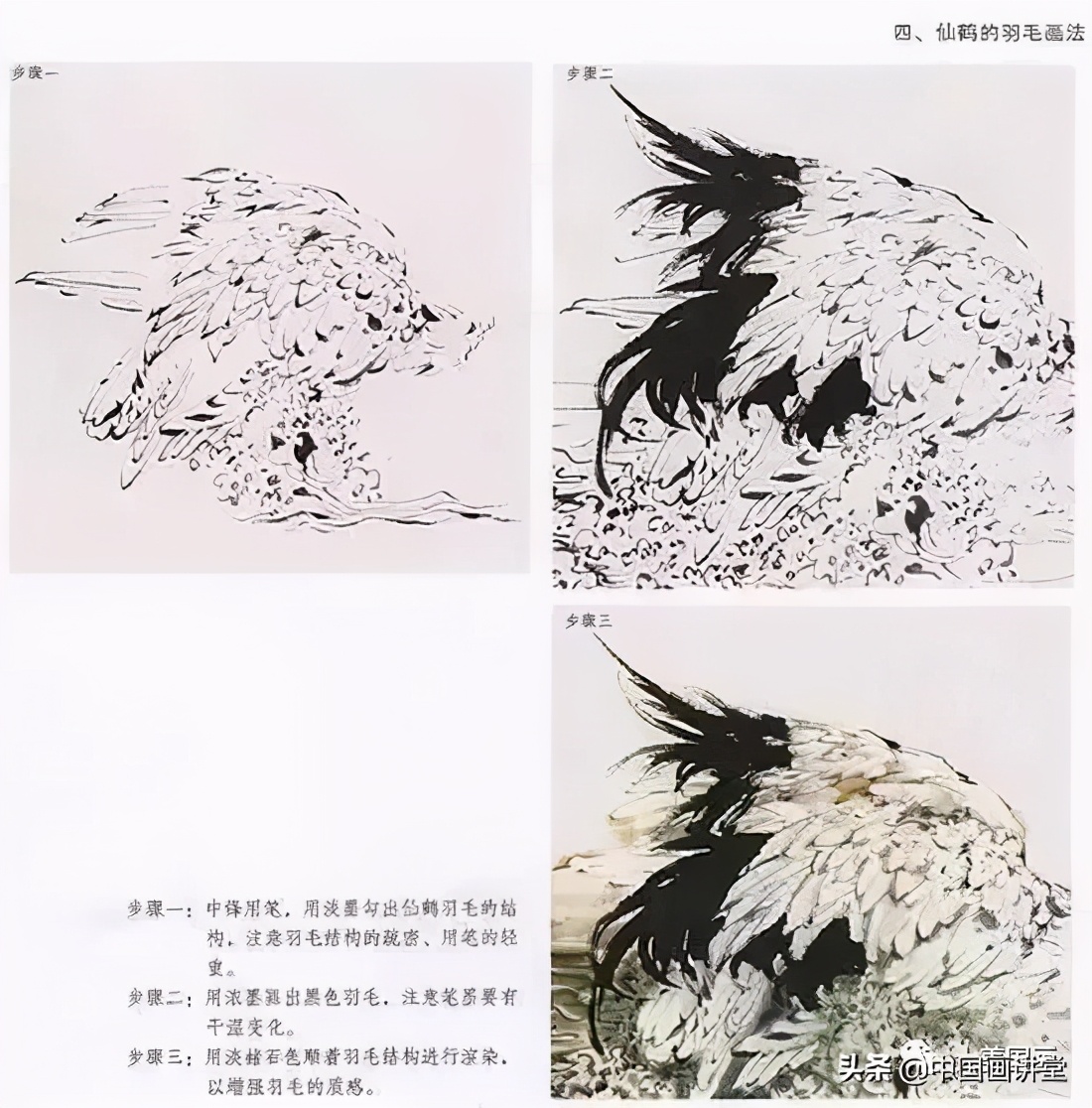 松鹤画法集锦学仙鹤的绝佳素材