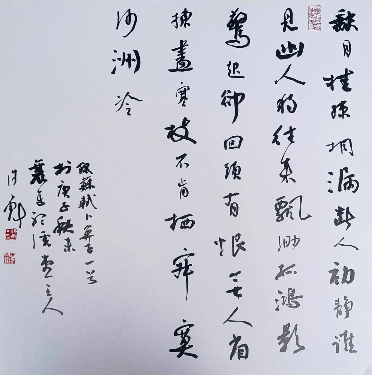 许彪 《书法》 68cmx68cm