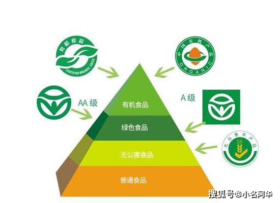 健康科普重新認識綠色食品吃出健康好體魄