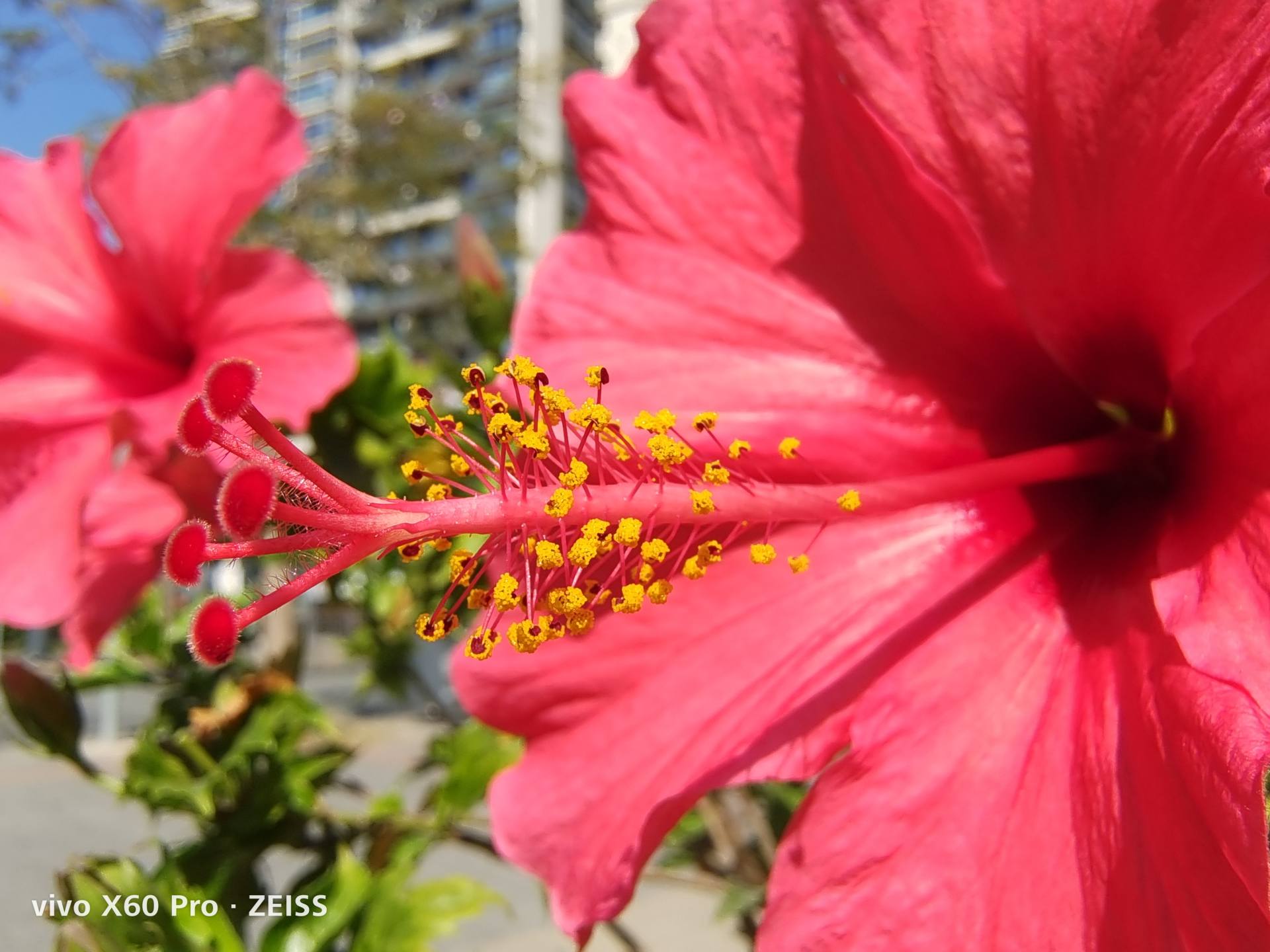 影像新星vivo x60 pro来袭,移动摄影迎革命性改变