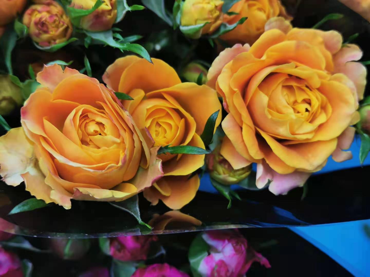 果汁泡泡玫瑰,光听名字就想一口"喝掉"