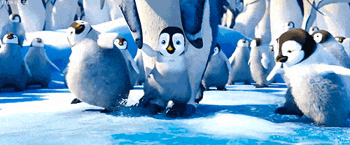 Penguins come！明星嘉宾极地企鹅大亮相，室内企鹅展1月8日登陆世茂52+