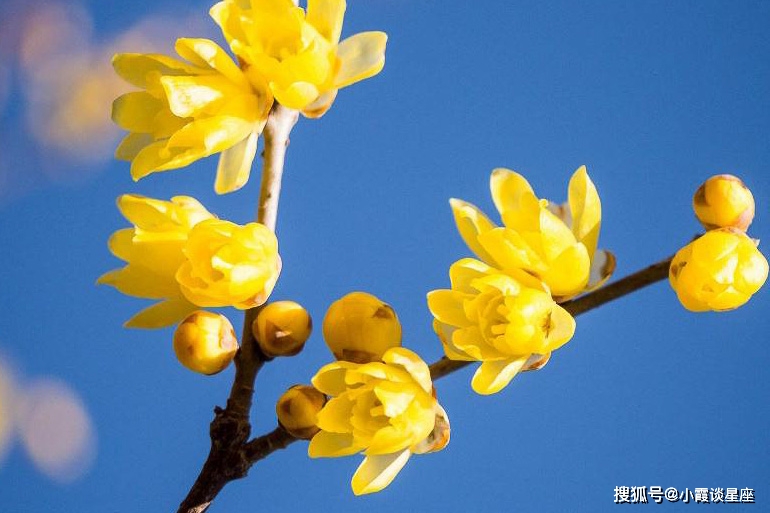 下個月開始,3生肖順利轉好運,福氣旺盛財氣天降,富貴不再難!