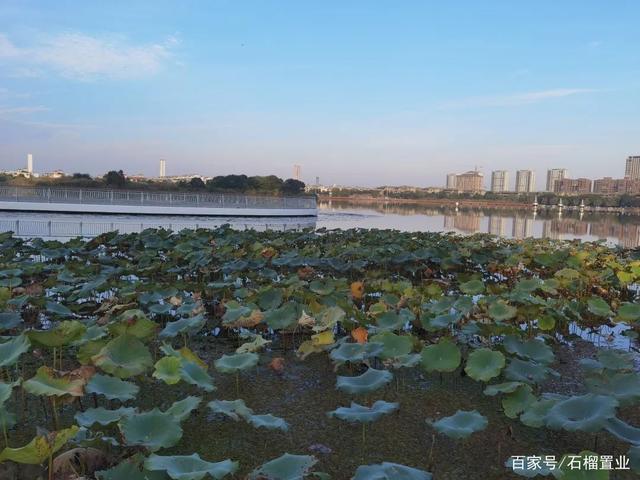 石榴集团玉兰湾新年住新家理想生活眼见为实