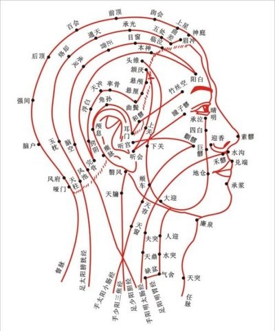 都市白领在工作中1~2小时之后,可通过梳头动作按摩穴位密集的后脑和侧