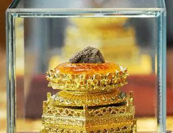 朋友高价买的"佛脑舍利",成本不会比生产樟脑球高出太多!