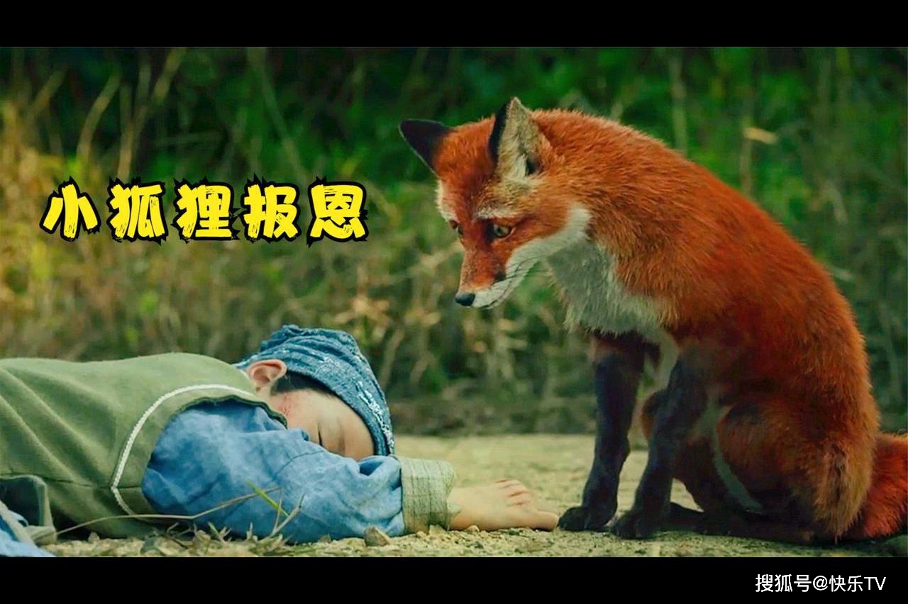 小狐狸为了给主人报恩牺牲己方千年修为动人玄幻影戏