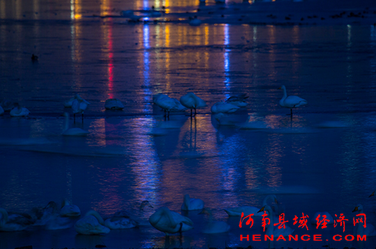 河南三门峡：天鹅湖夜色美如画