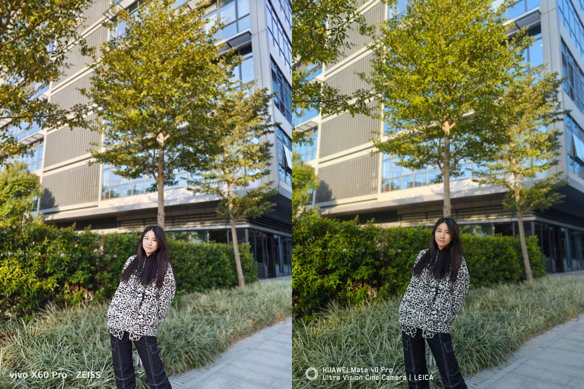 人像样张:vivo x60 pro(左),华为mate40 pro(右)