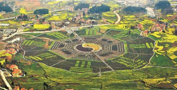 贵州最大的八卦图：占地300多亩，内有81种植物，就在茅台酒故乡