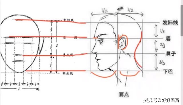 怎麼畫好動漫人物的臉超詳細的五官教程你還學不會嗎