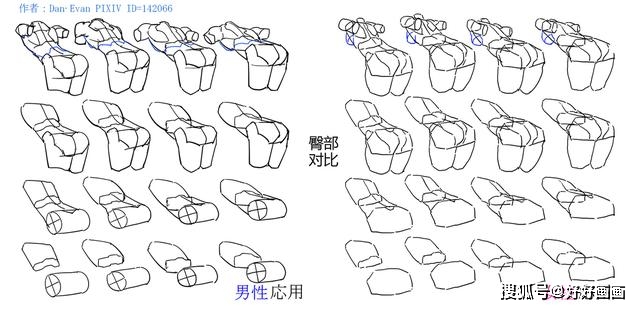 教你如何畫好男女人體體塊