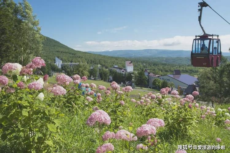 四季都迷人！一生必去一次的北海道神秘绝景