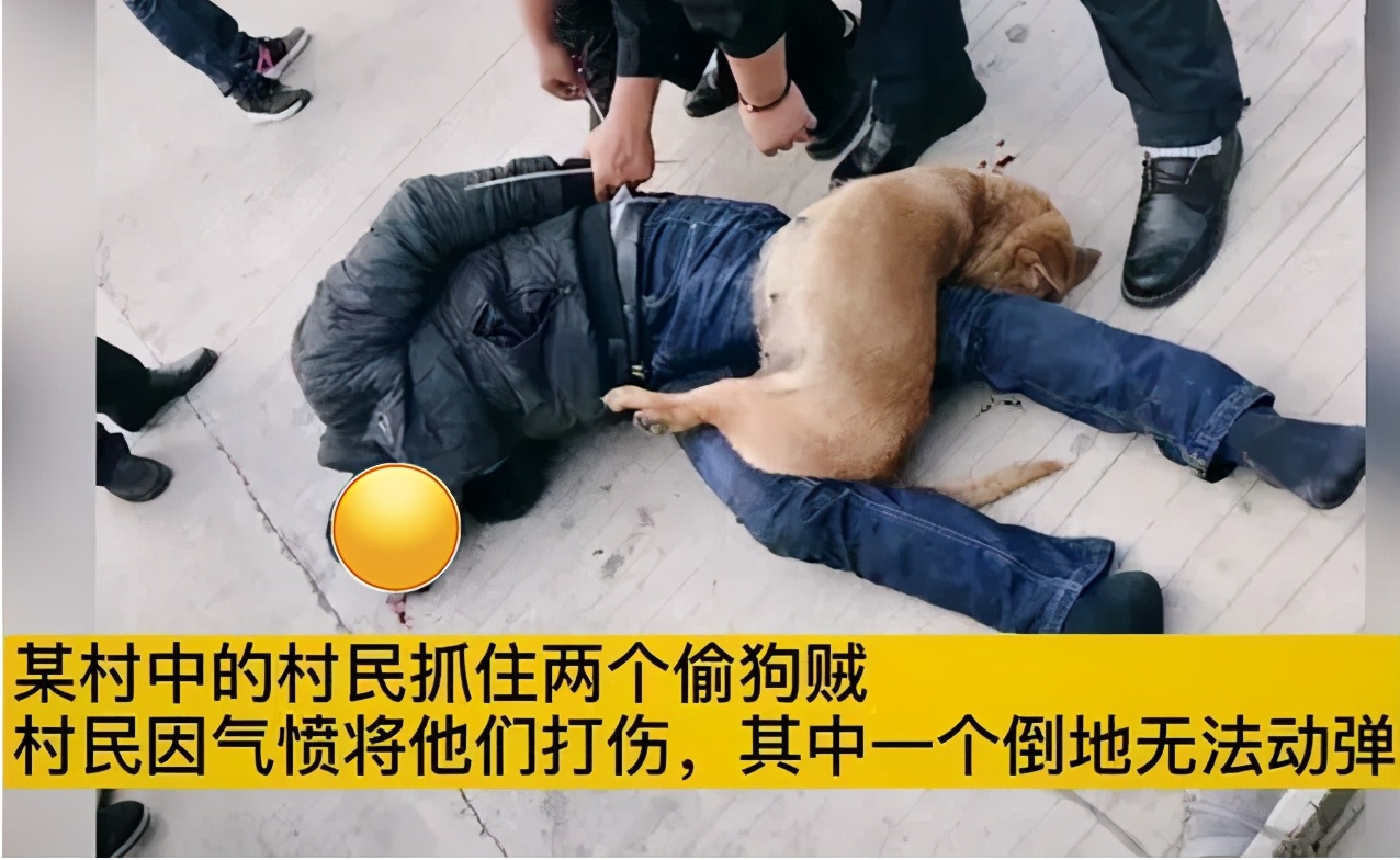 2名偷狗贼进村偷狗被抓,遭村民暴打,一人被打成重伤