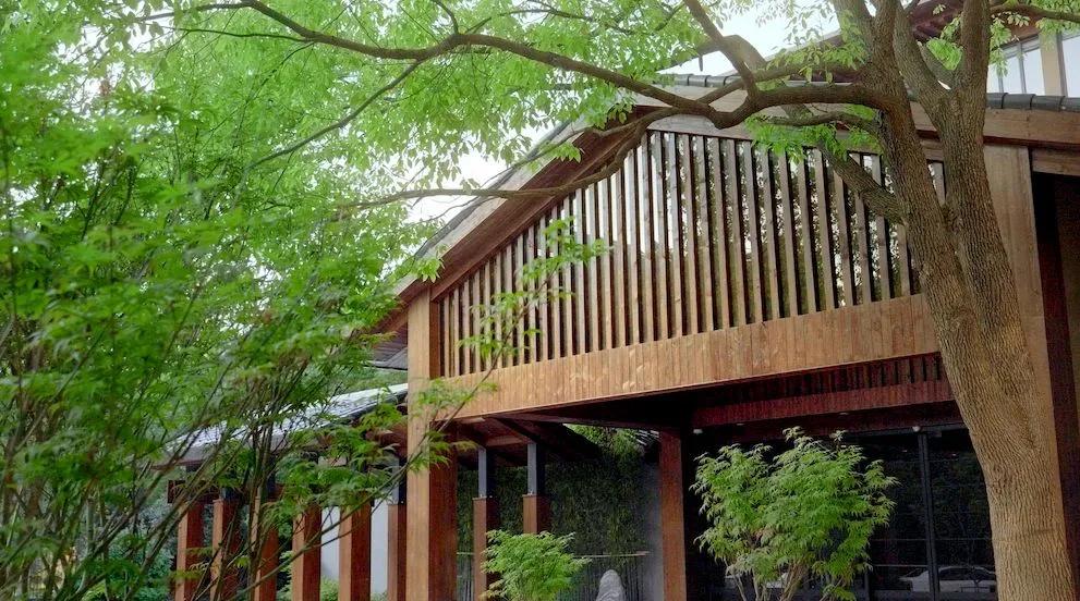日本旅居15年,她回魔都改造「和风庭院」,住禅院,泡温泉