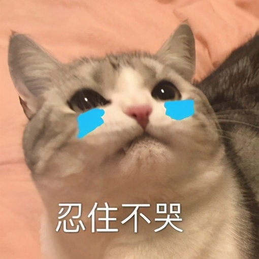 有了表情包还怕斗不过吗?