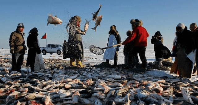查干湖冬捕，头鱼300万成交，火爆中伴随争议，是是非非何时休？