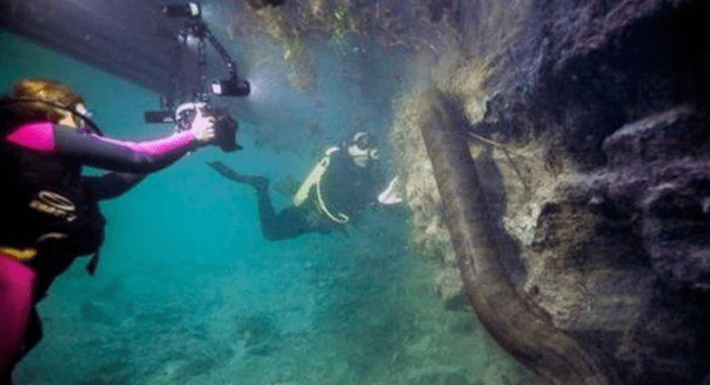 潜水员与7米蟒蛇面对面，或说是现存最大的蛇，镜头记录惊险一刻