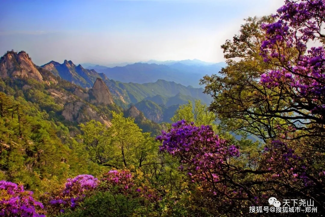 最爱是尧山