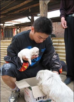 刘国梁神操作调教马龙用鼓励张继科用打压唯独他去农村养猪