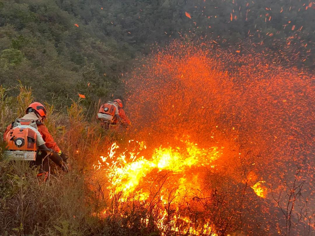广东肇庆森林火灾正在扑救