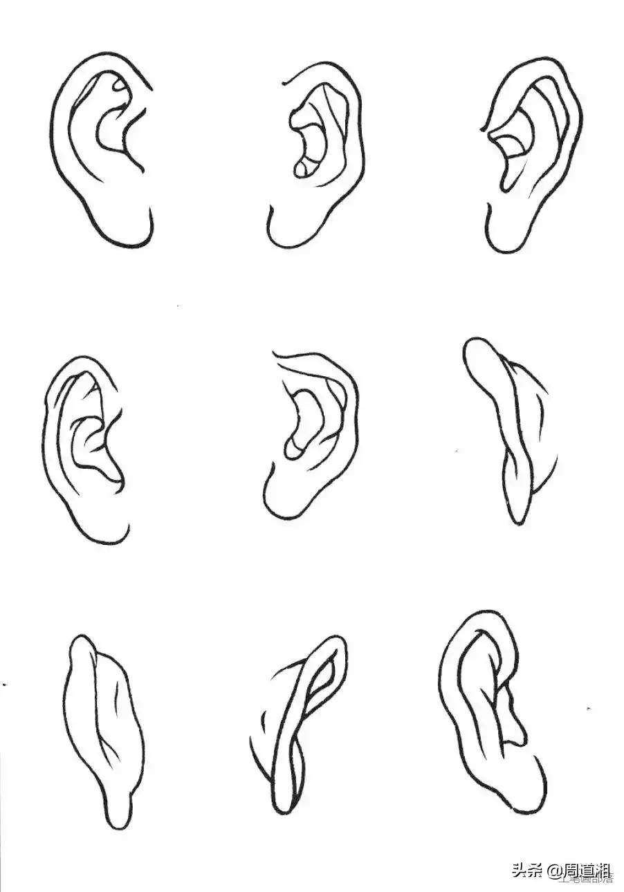 工笔是哪种画法的技法 5f681e24aa774265af0195e25fef762f.jpeg