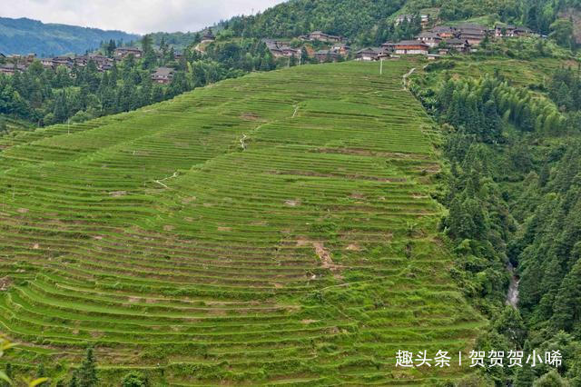 我国最美十大梯田之一，四季都有奇观风景，漫步于此宛如身处幻境