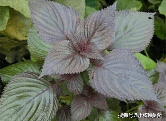 d788a039b4ff4c16b2f410661fde0301.png