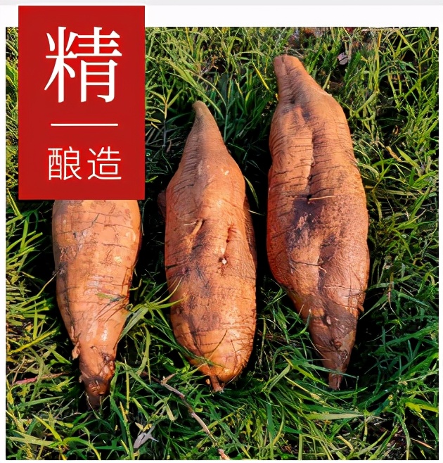 冬日欢聚杯酒微醺美酒推荐丨葛味好葛根酒