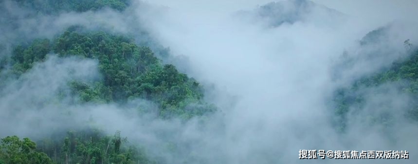 旅行达人向粉丝告白—私藏“理想定居地” 西双版纳